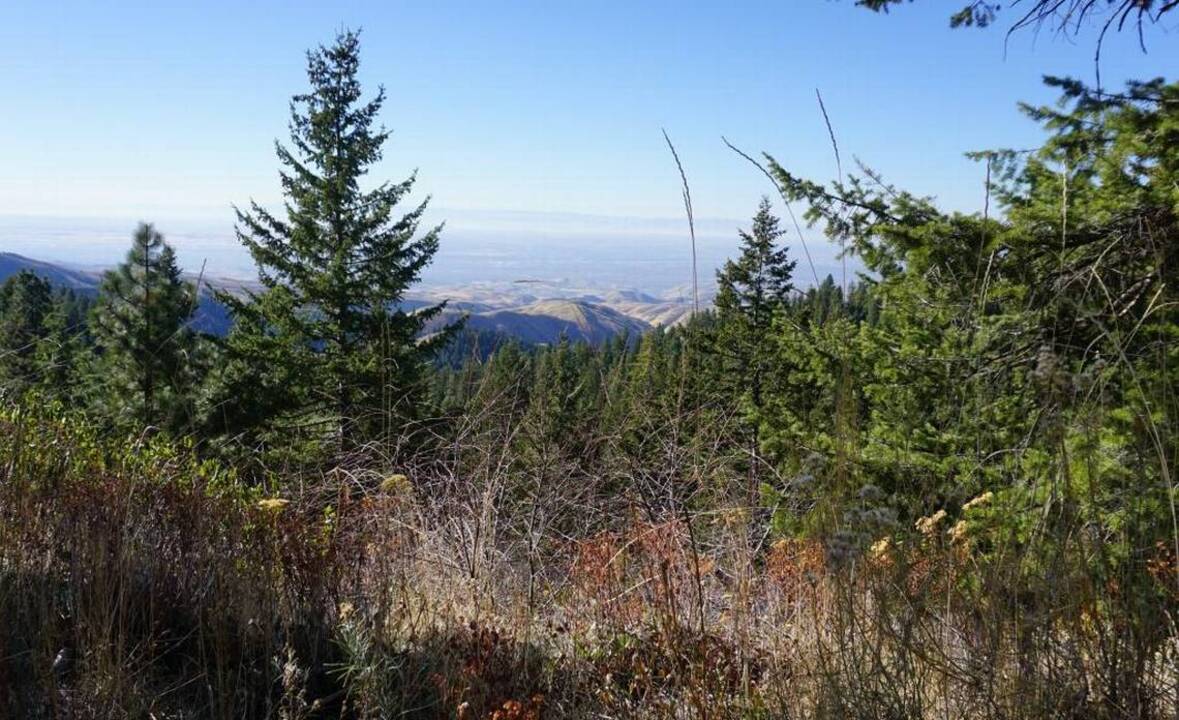 Upper Dry Creek Headwaters becomes non-motorized to create family trail experience