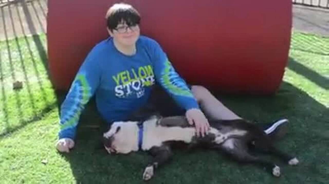 How the story of a young amputee and his three-legged dog earned a windfall for animal shelter