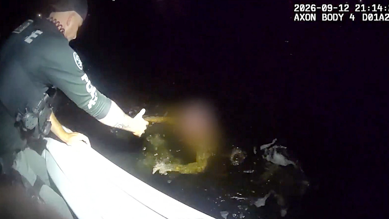 Bradenton police rescue man swimming in Manatee River