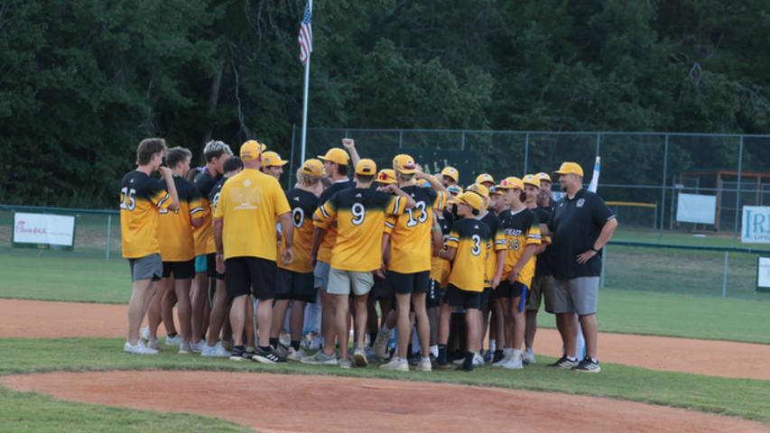 Irmo Little League honors four teams that played in the World Series