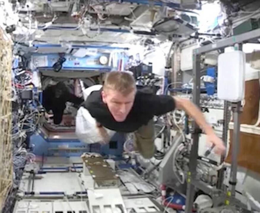 #SpaceApe let loose in International Space Station
