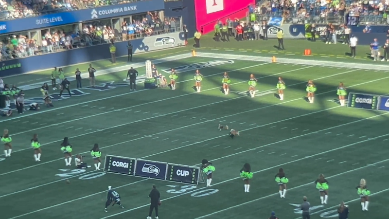 "Banana" wins the fan-fave Corgi dog races at halftime of Seahawks-Chargers at Lumen Field