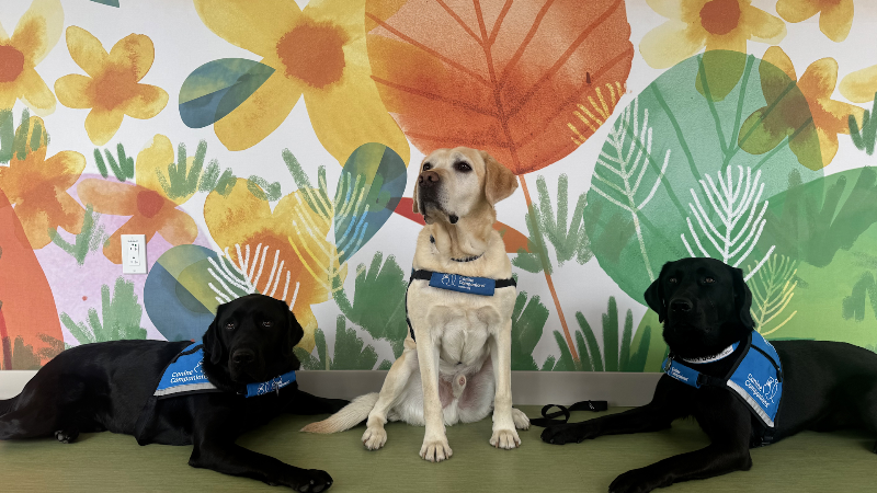 Mary Bridge Children's Hospital welcomes two new facility dogs