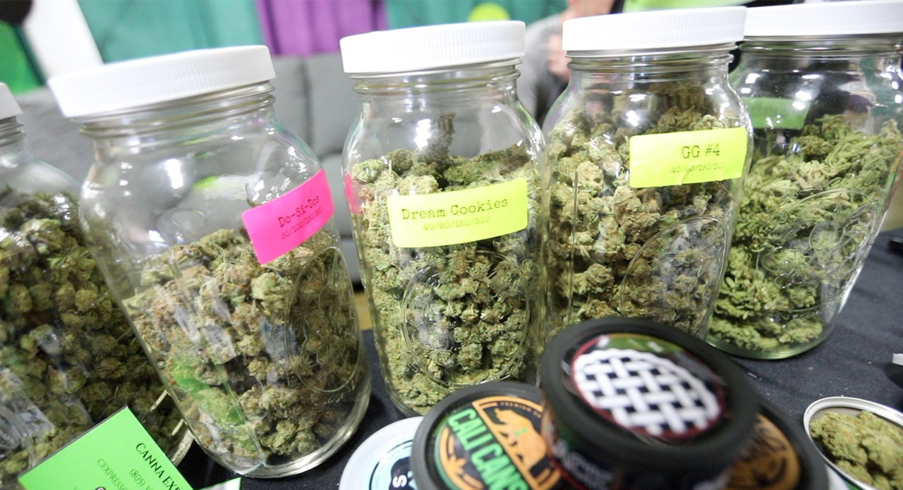 Hemp and Cannabis Fair comes to Alex Madonna Expo Center