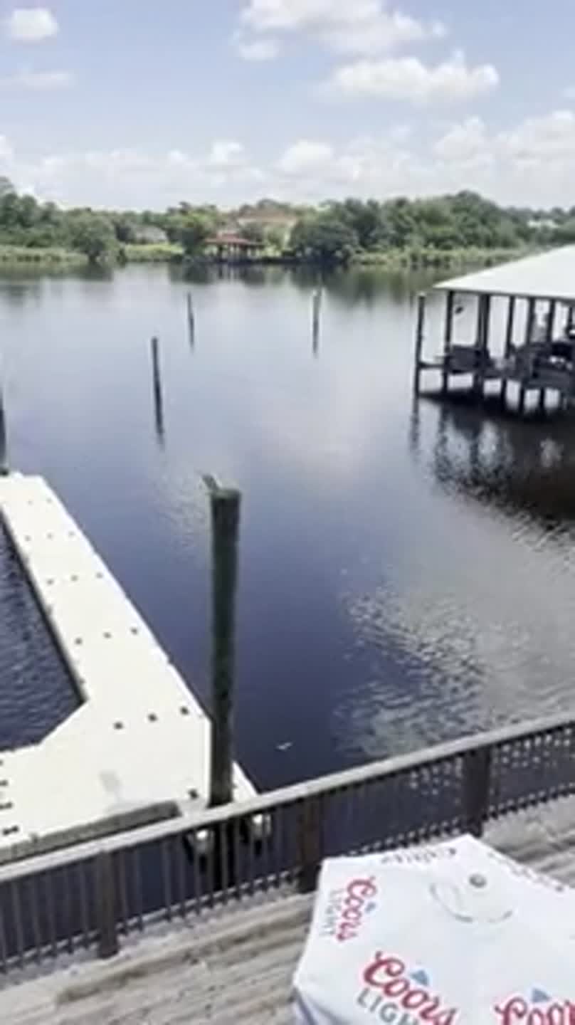 Claw Daddy's On Da Bayou