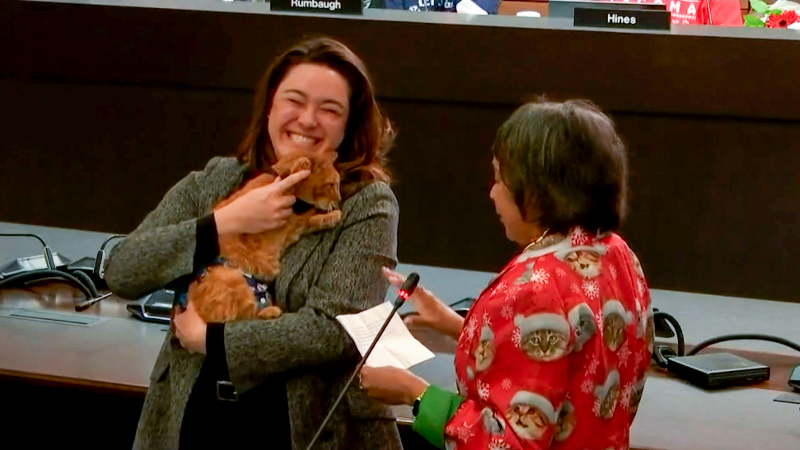 Orange cat Nacho serves as Tacoma's honorary pet mayor