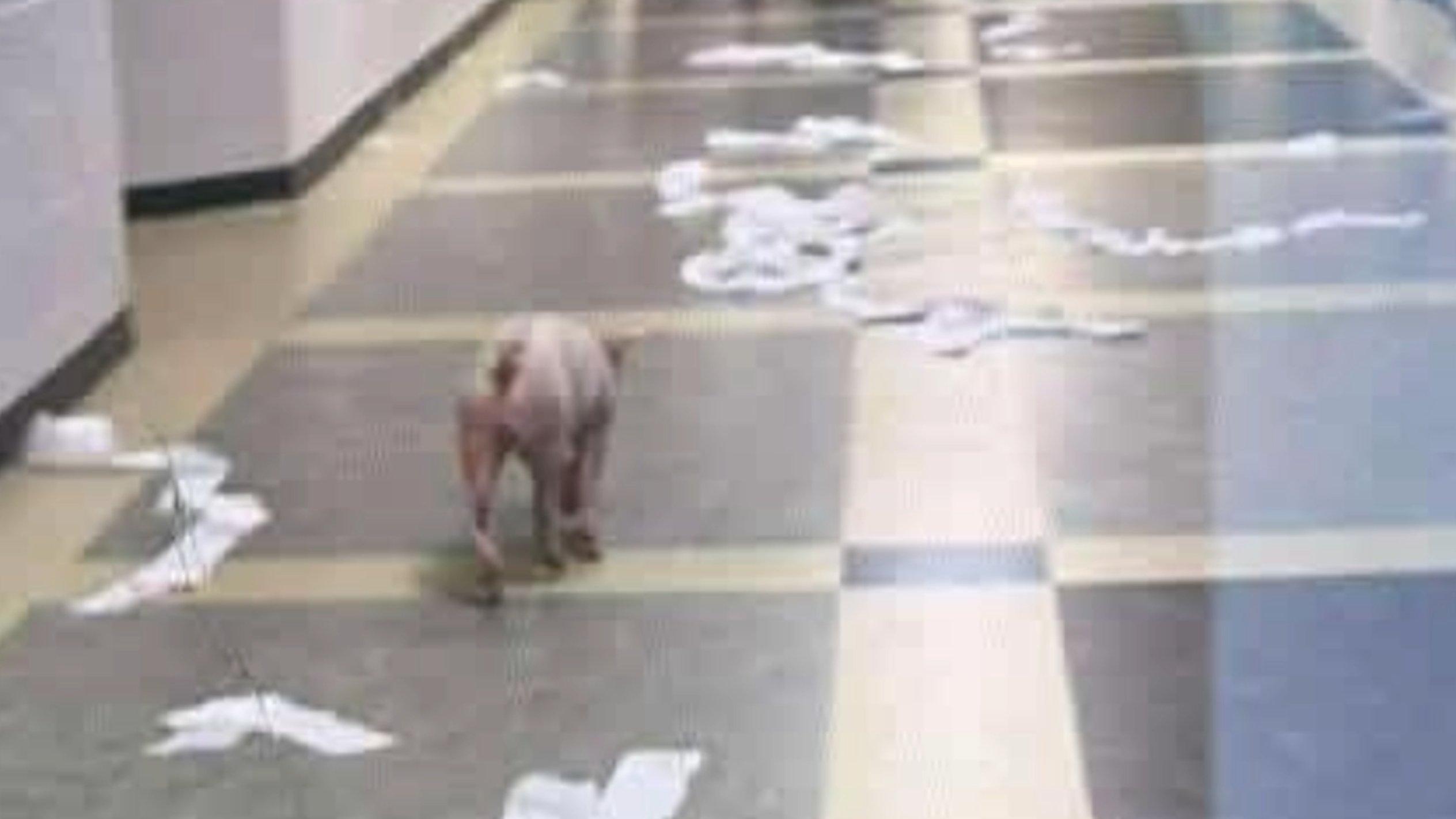 Superintendent says pigs were let loose for senior prank. Kids sent home