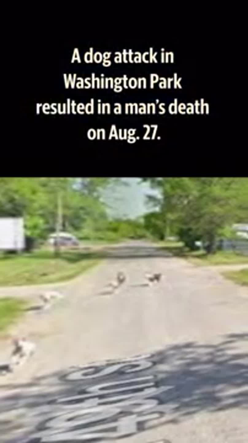 Washington Park man mauled to death by dogs