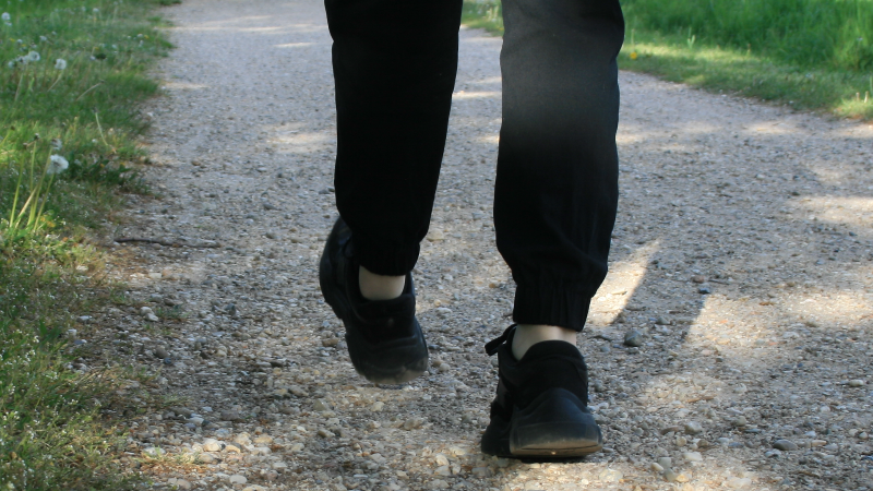 What are the benefits of walking?