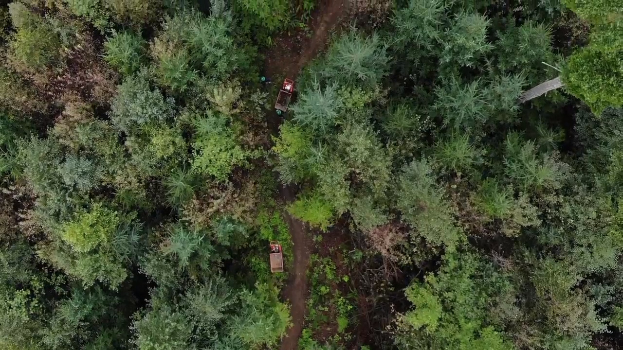 Rev up your turkey burner this Thanksgiving with these three Whatcom County hikes