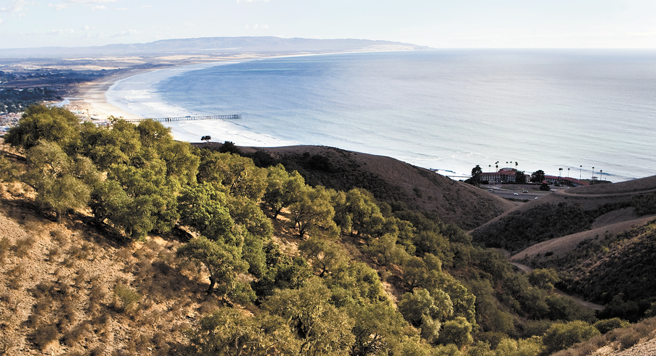 Explore Pismo Preserve — 11 miles of hiking trails in SLO County