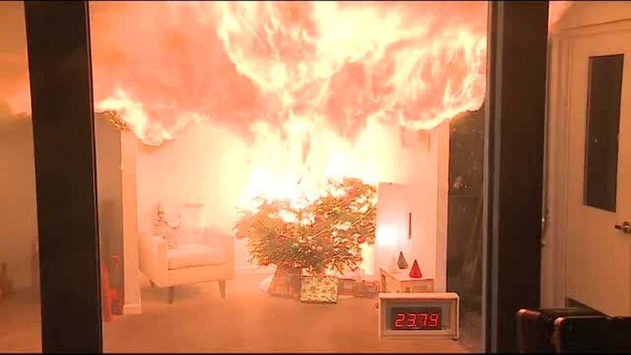 Watch how quickly a Christmas tree can burn your house down