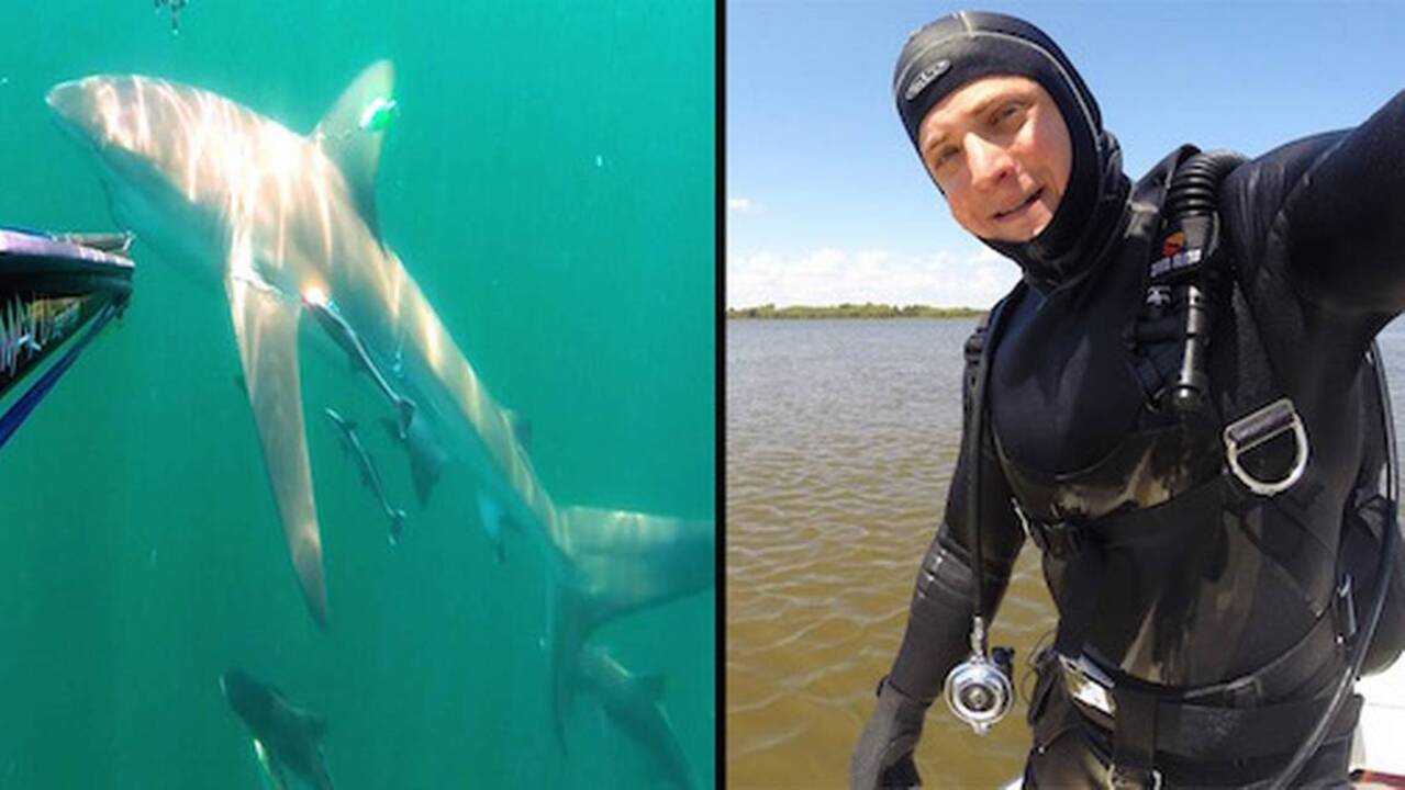 Diver escapes shark off Hilton Head