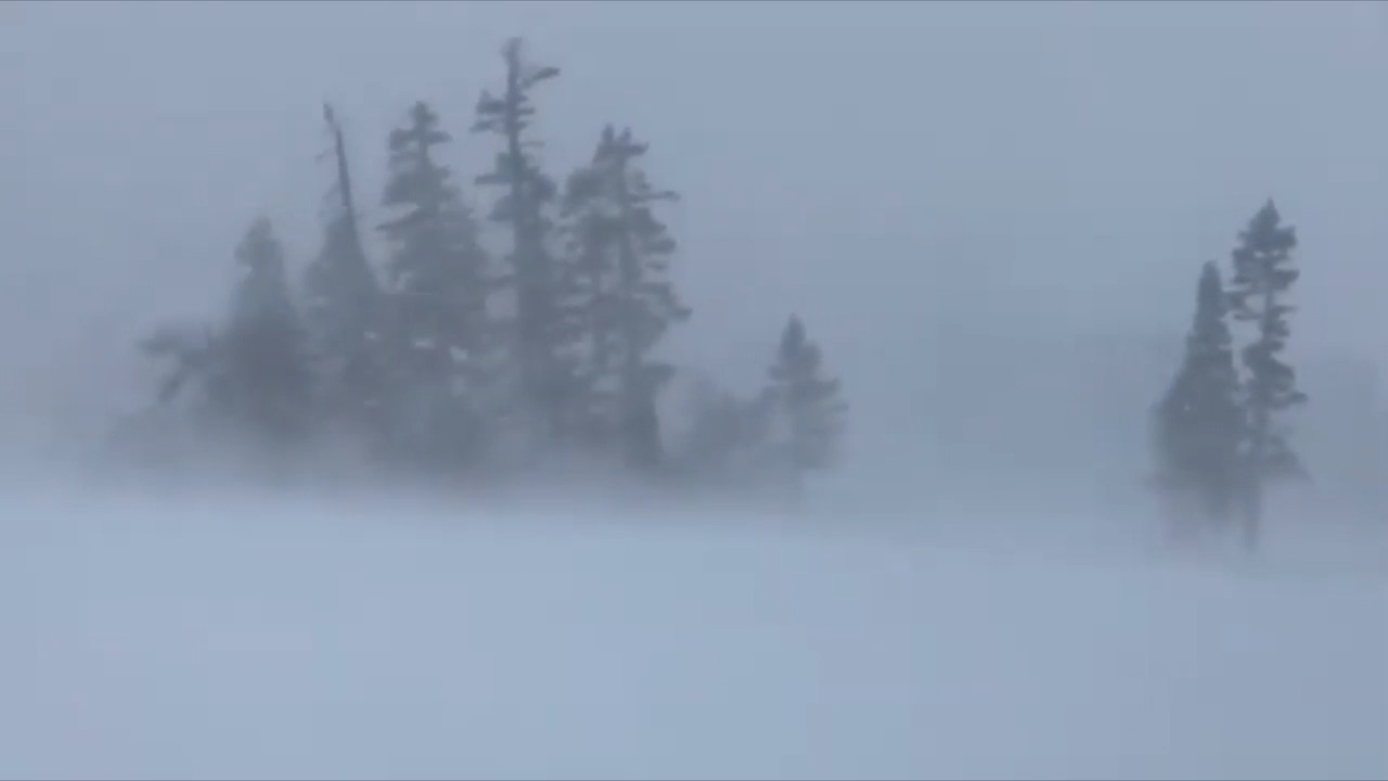 Thick fog slows Sacramento area commutes. Will Christmas be dry or full of rain?