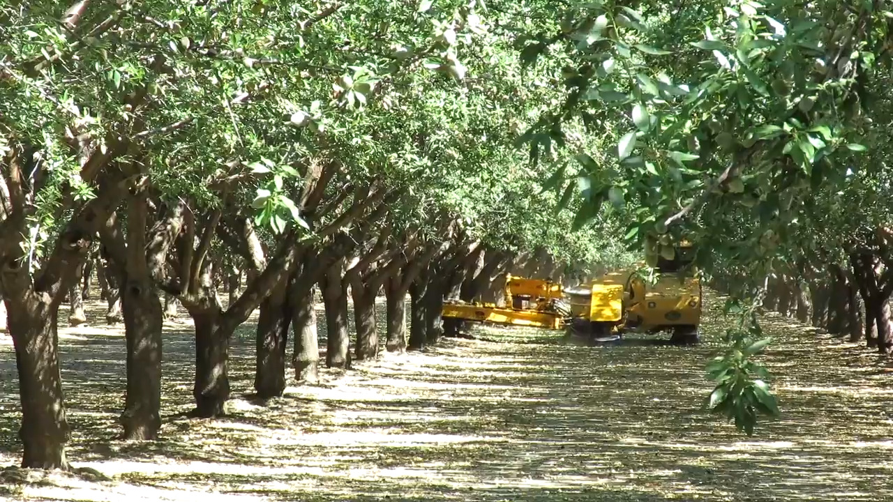 Fresno County is rated No. 1 in the nation in agricultural production