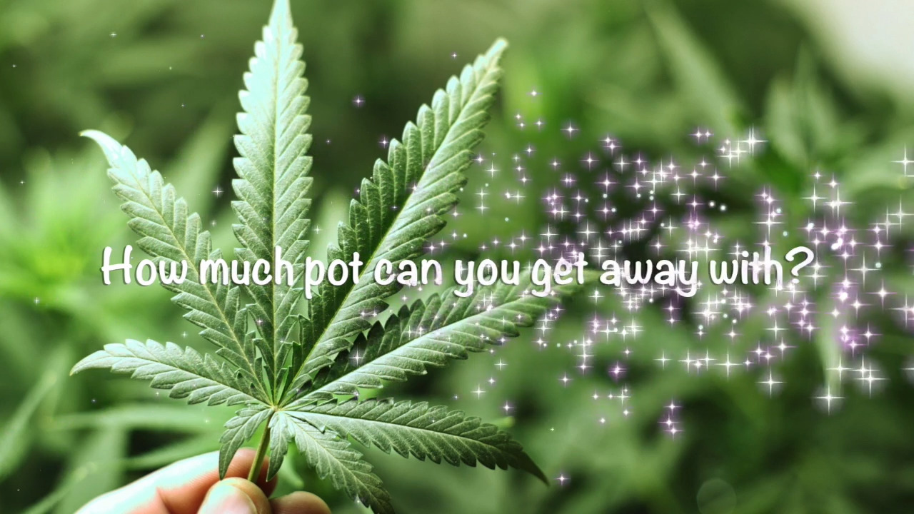 St. Louis letting marijuana possession slide. Illinois? Stay tuned.