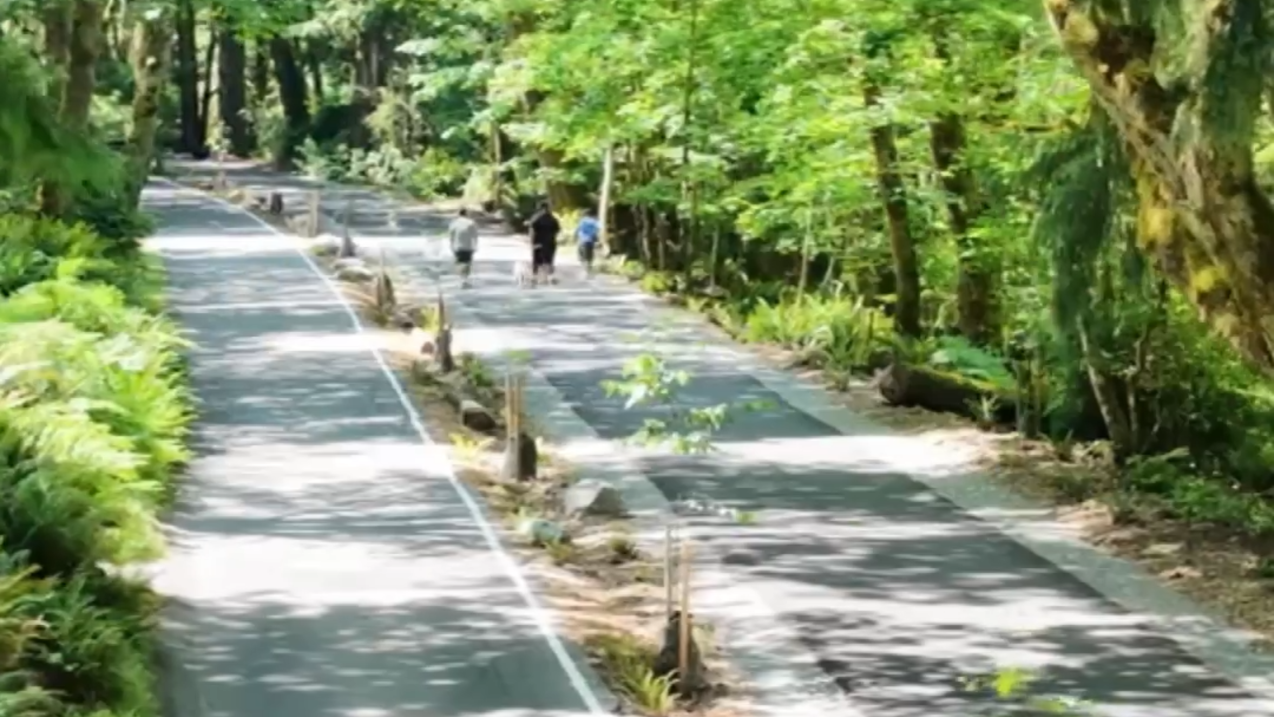 Point Defiance launches the Loop Trail!