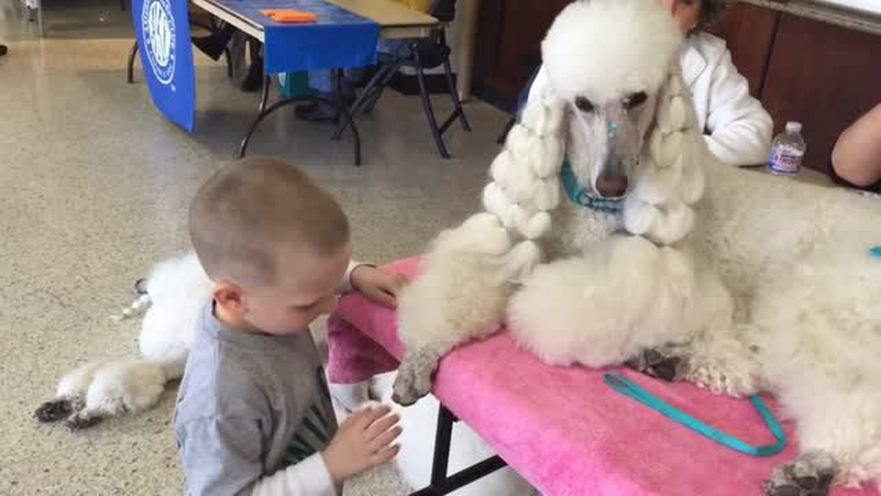 Meet the breeds at Century II