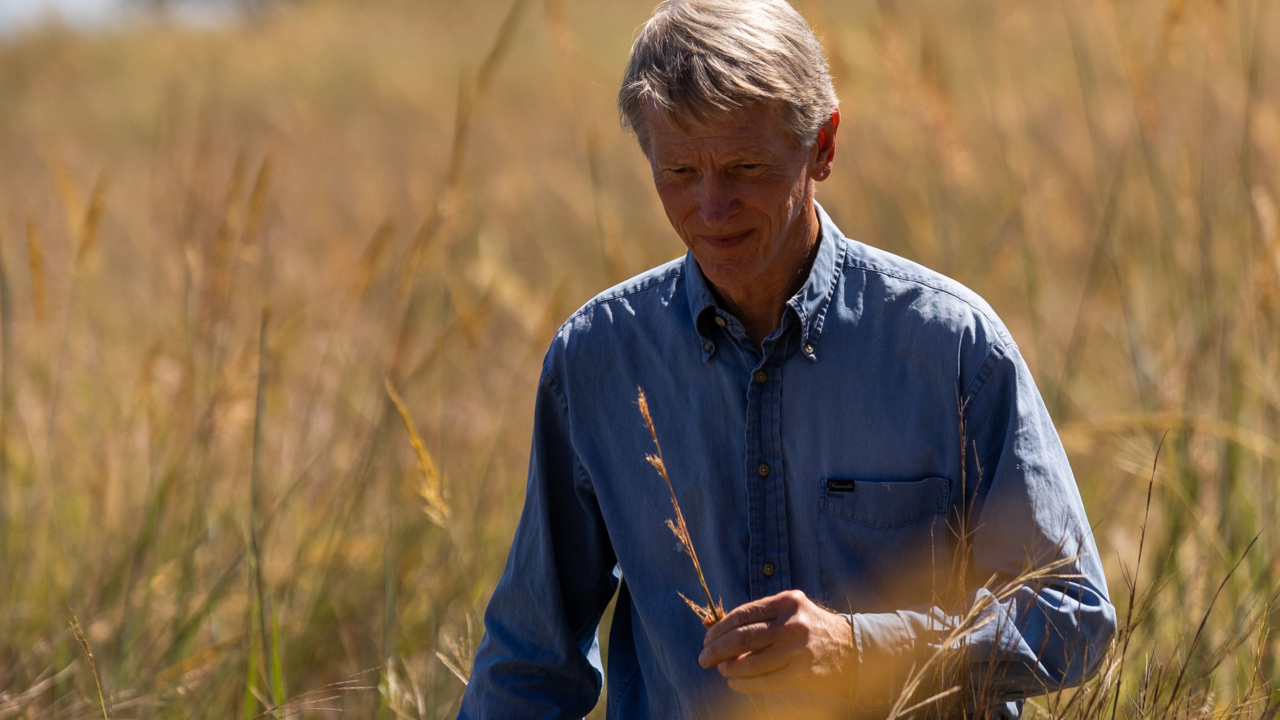 ‘What we are losing’: Tour a North Texas prairie restoration