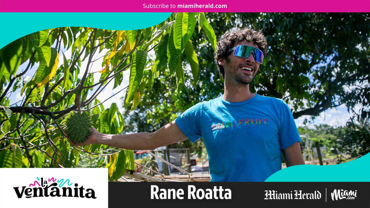 La Ventanita: Rane Roatta’s highlights Redland phallic fruit