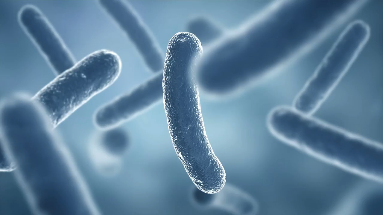 Dangerous bacteria lurking in Wake County but isn’t an immediate threat