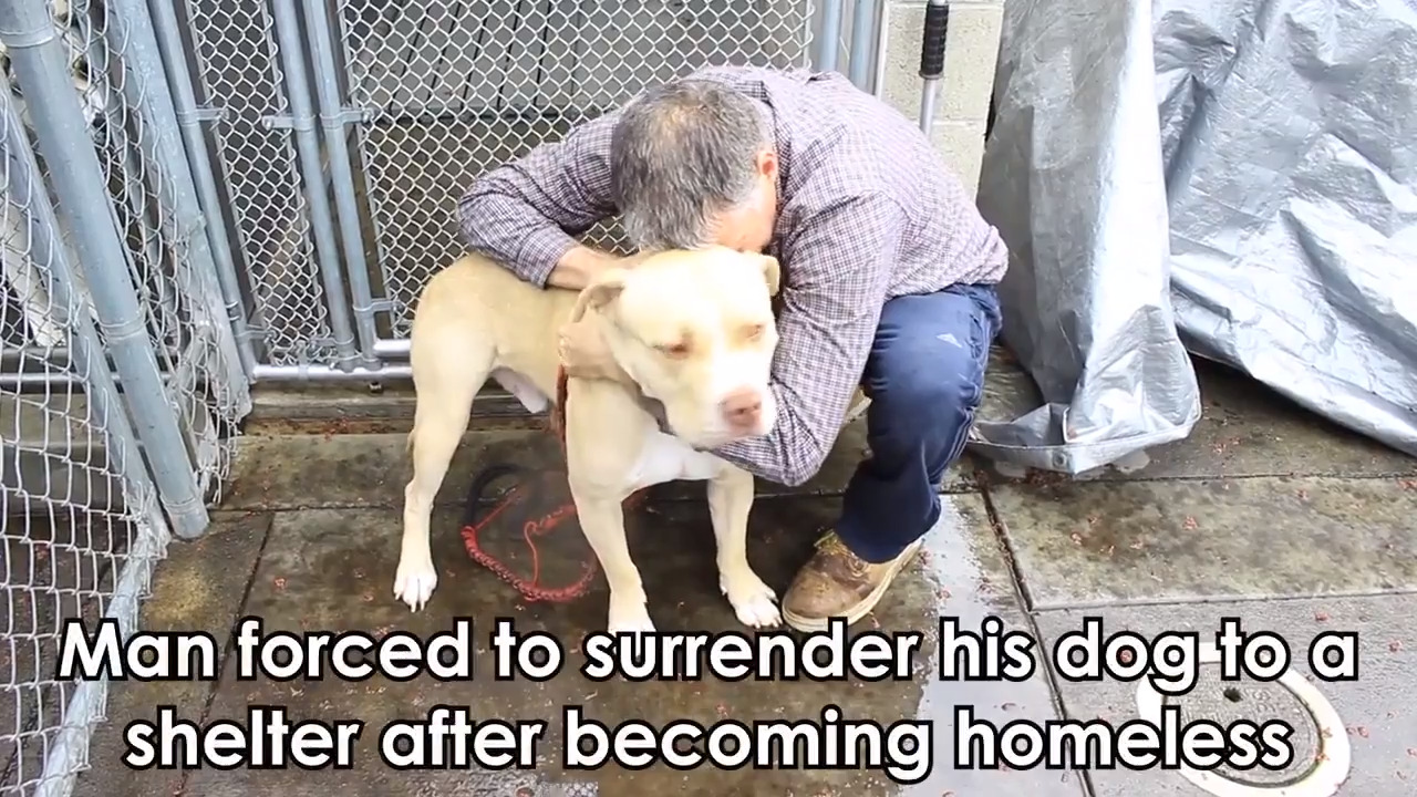 Front Street Shelter shares emotional video of homeless man about to give up dog