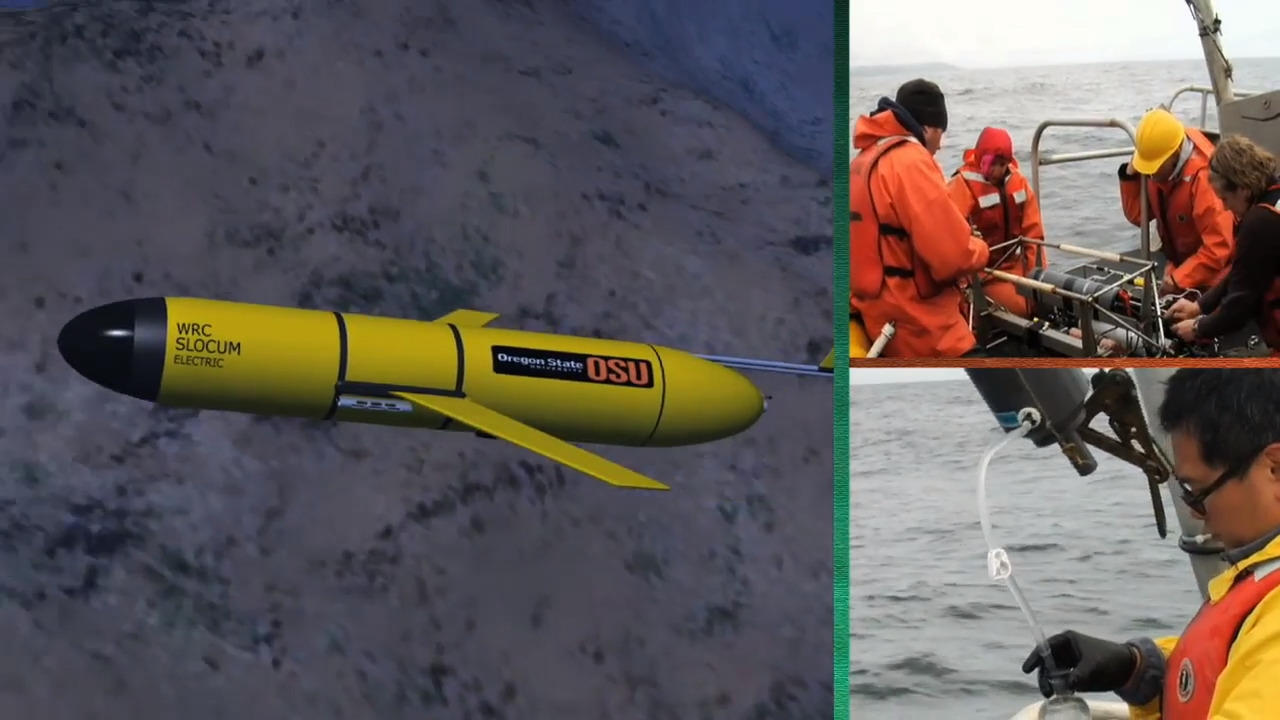 An ocean dead zone in the Salish Sea would harm Whatcom County’s economy. Here’s how