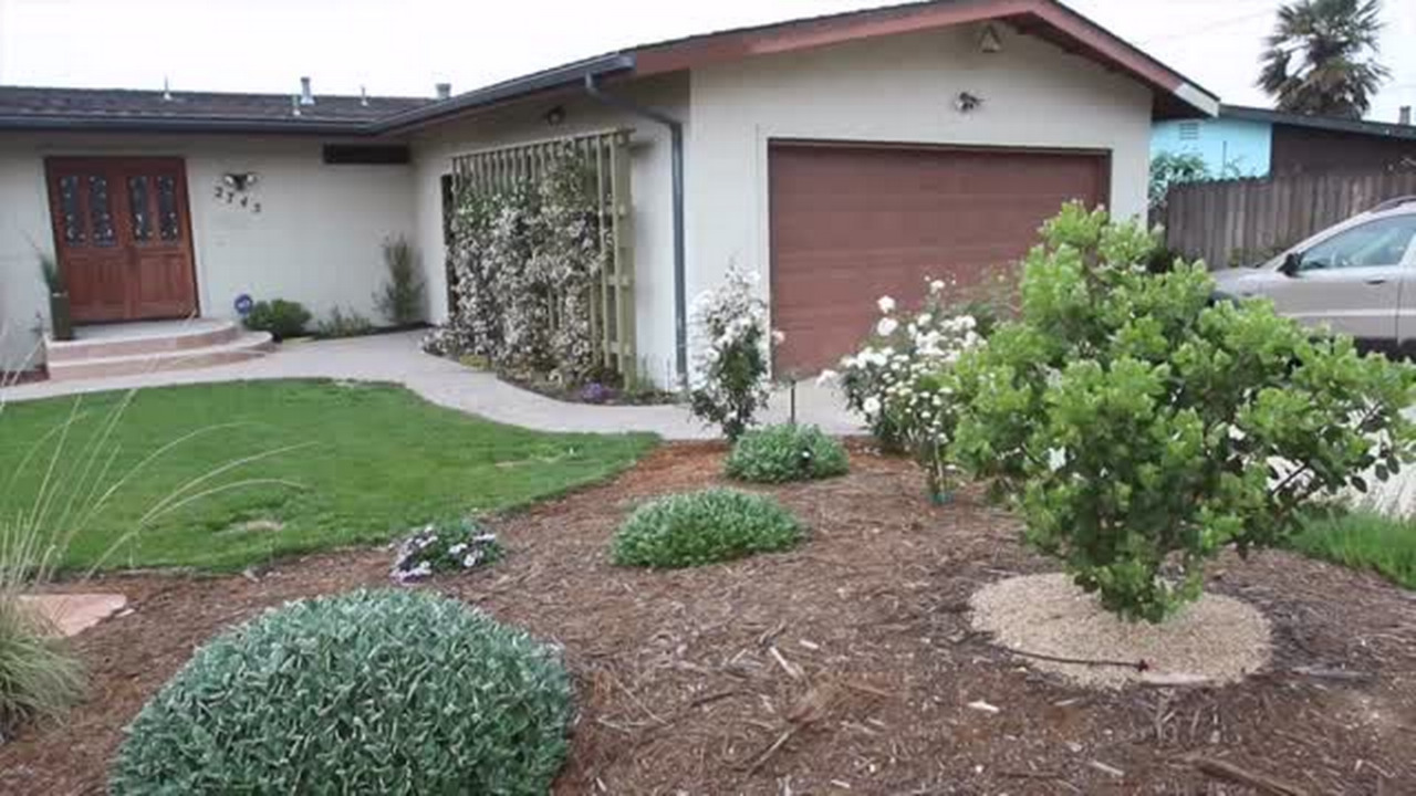 Take a tour of 2 lovely gardens in Morro Bay