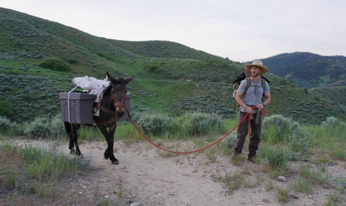 A man, his mule and a dream of trailside coffee in the Boise Foothills