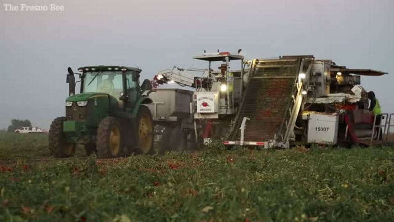 Valley fever cases are rising in SLO County. What is causing the spike?