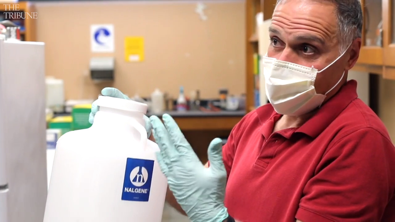 See how Cal Poly scientists are testing saliva and wastewater for COVID