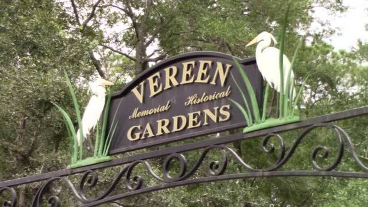 Preserving the trail George Washington took through Horry County