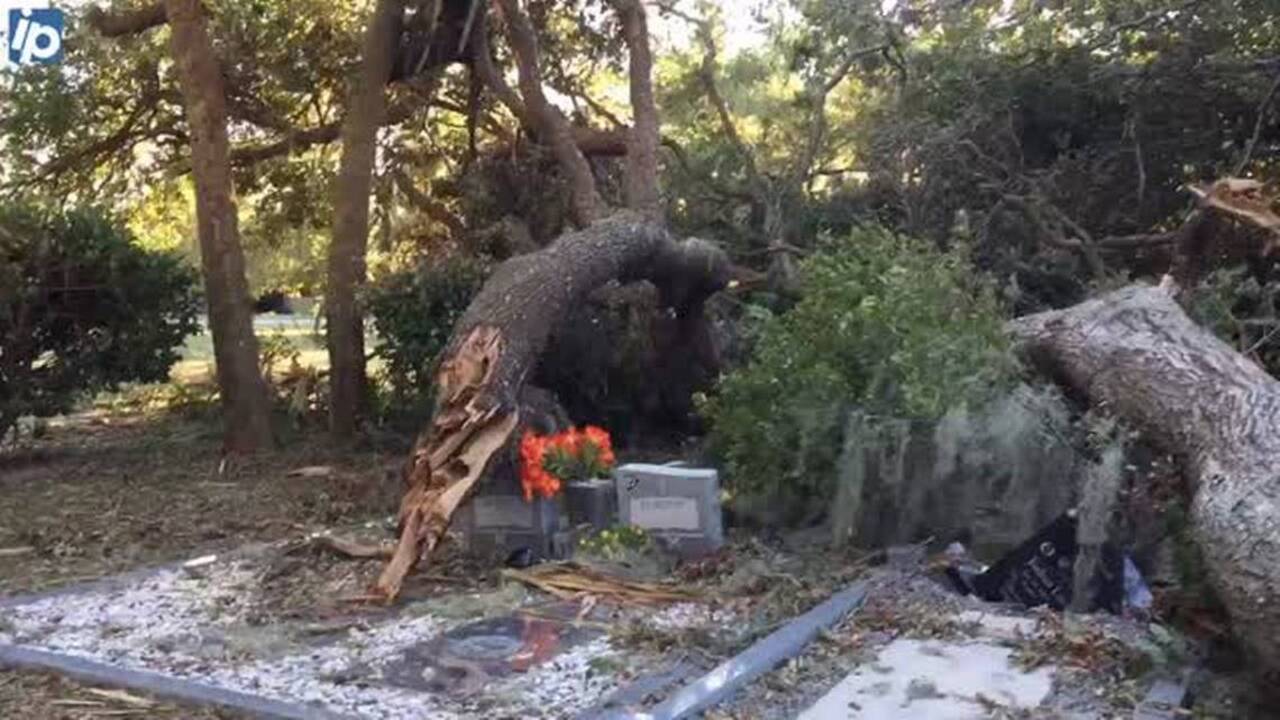‘God thing’ breathes life into damaged Hilton Head Gullah cemetery
