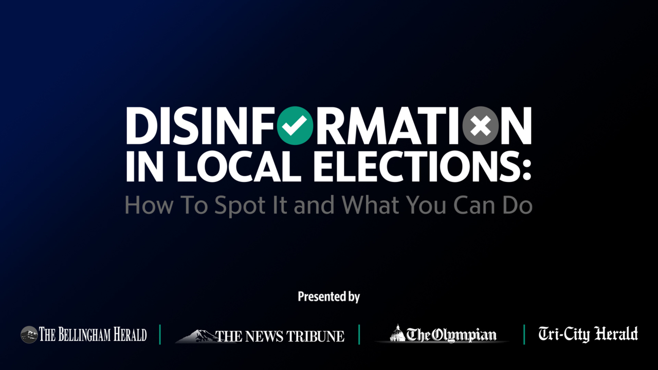 Disinformation in Local Elections: How to Spot It and What You Can Do