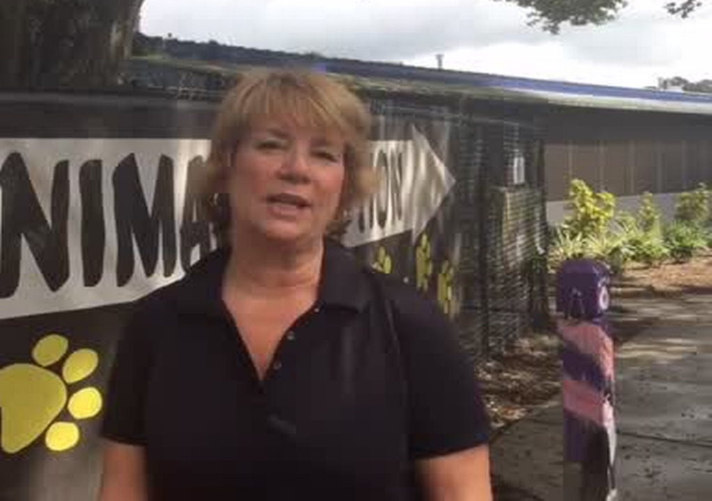 Dog trainer hopes training class will lead to more adoptions from Manatee Animal Services   