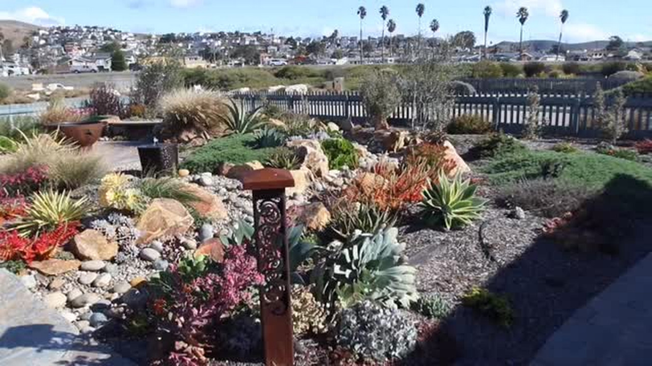 Take a tour of the Bradley garden in Morro Bay