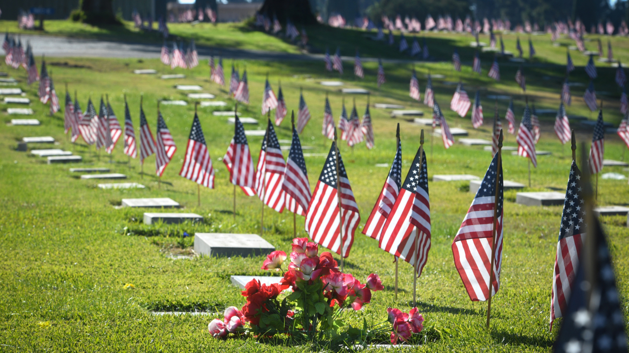 Virtual parades and digital exhibits mark Veterans Day in Fresno, Clovis this year