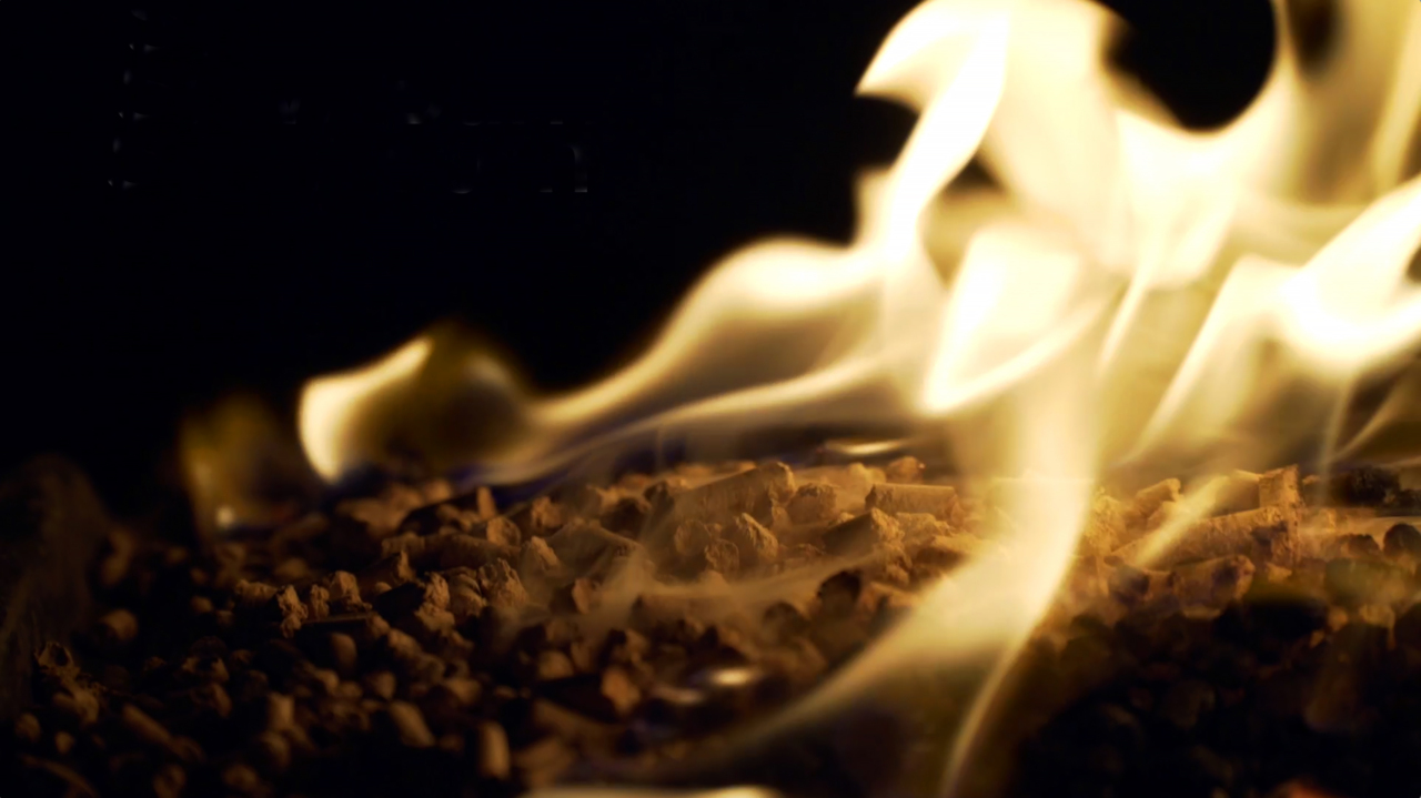 World’s largest wood pellet maker both welcomed and condemned in US