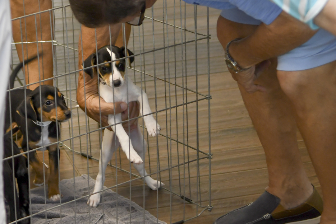 Dogs at new Beaufort County shelter experience a four-star stay until adopted