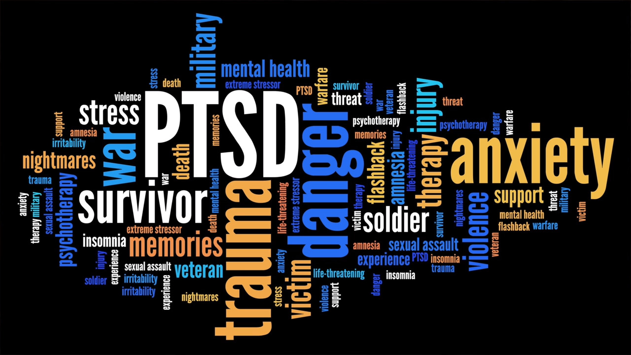 Thurston residents may see green lights for Veterans Day this weekend. Here’s why