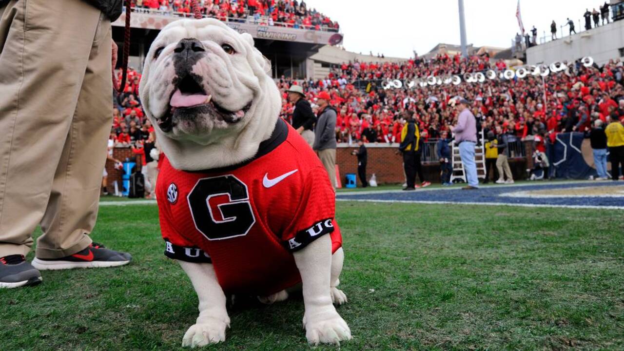 Georgia’s defense seems back on track