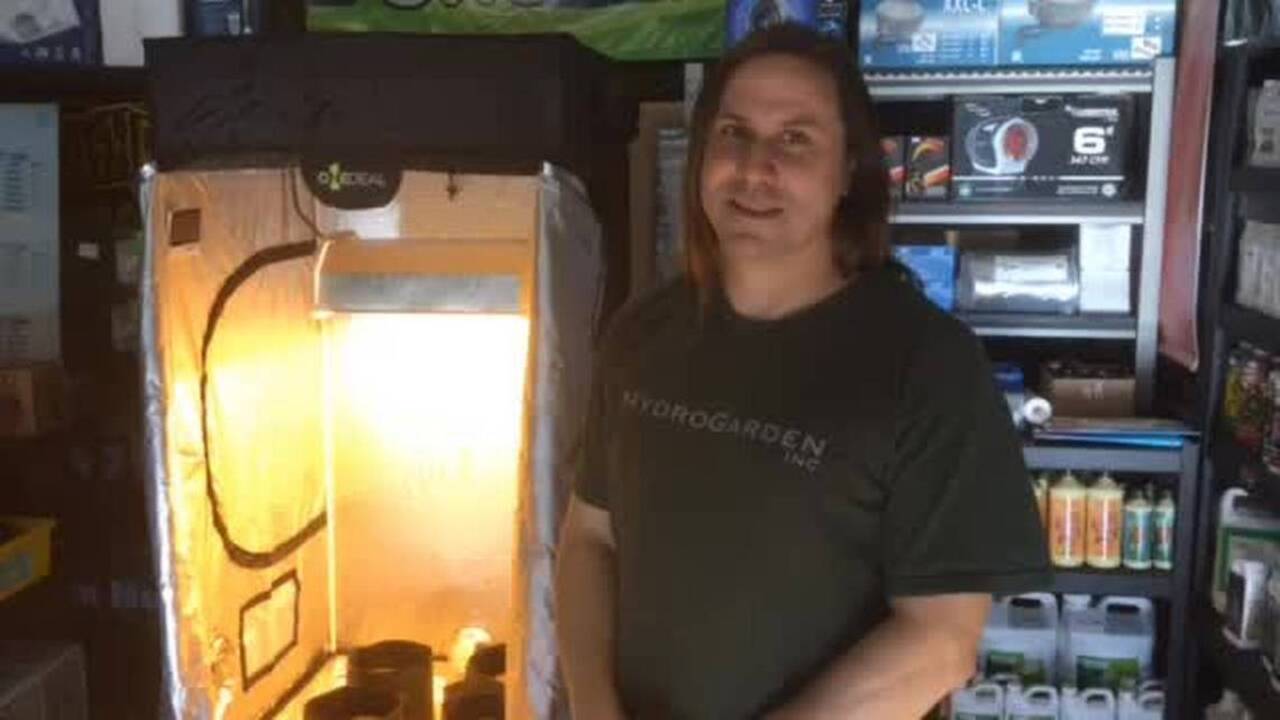 How to set up an indoor garden for cannabis
