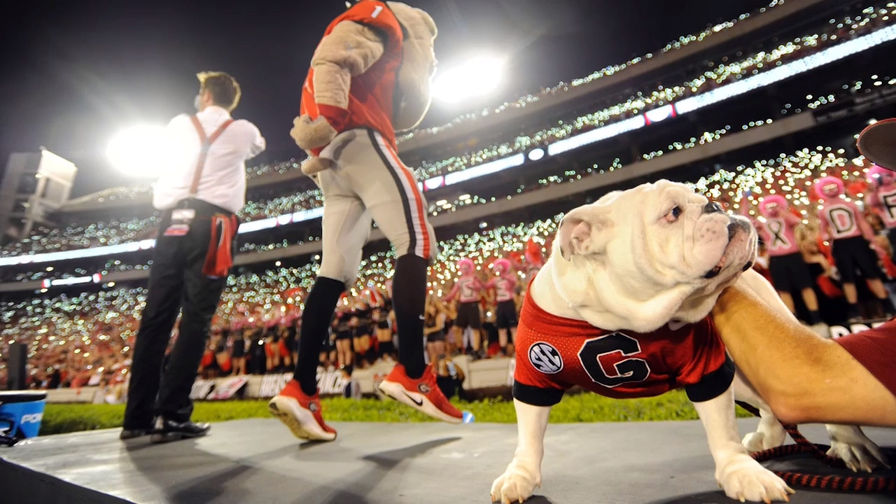 AP Top 25 against the spread: Can LSU move past Florida loss and take down Georgia?