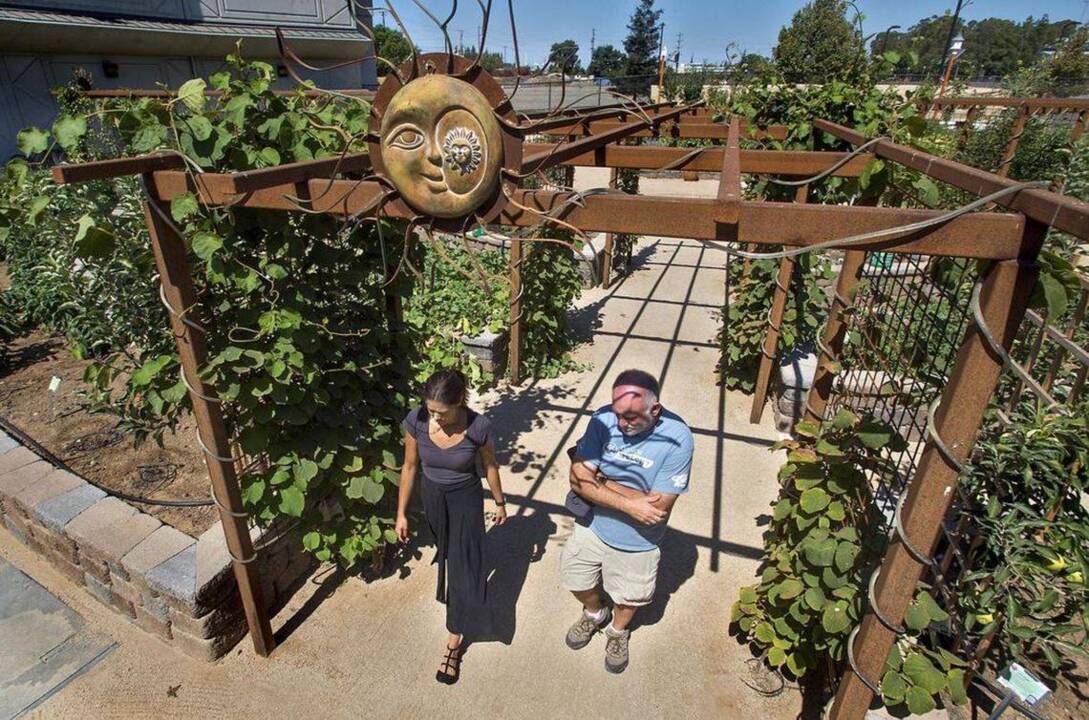 Growing conversation: Capital Public Radio garden produces more than food