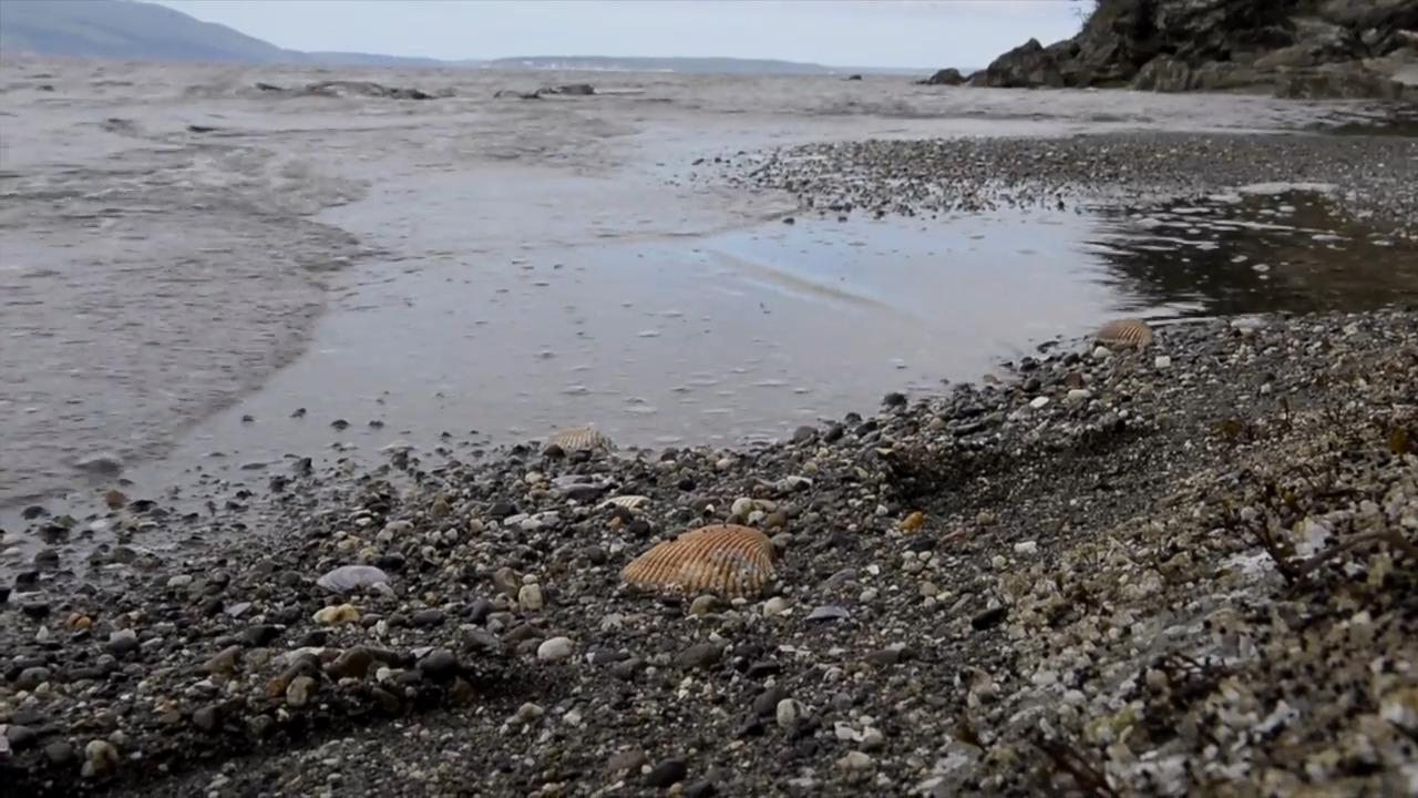 Four family hikes for the holidays in Bellingham