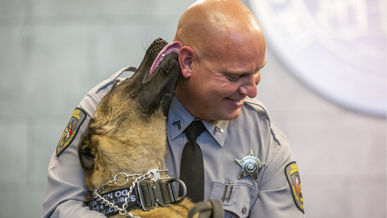 Newest Durham County sheriff’s recruits have floppy ears. How the K9 unit is changing