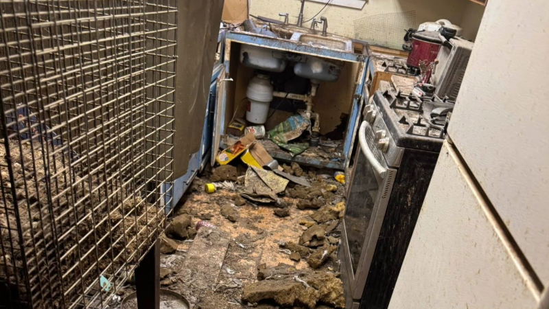 Thurston County men arrested for severe animal cruelty