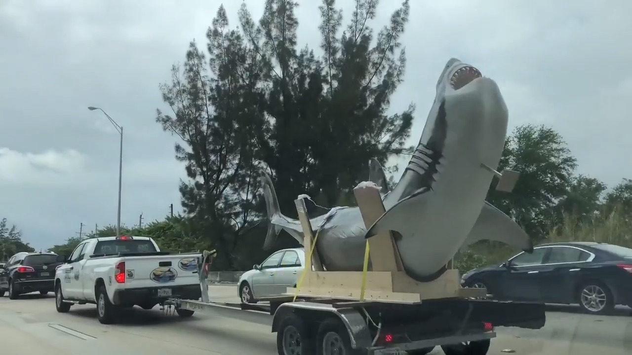 Giant shark sculpture spotted on Florida highway