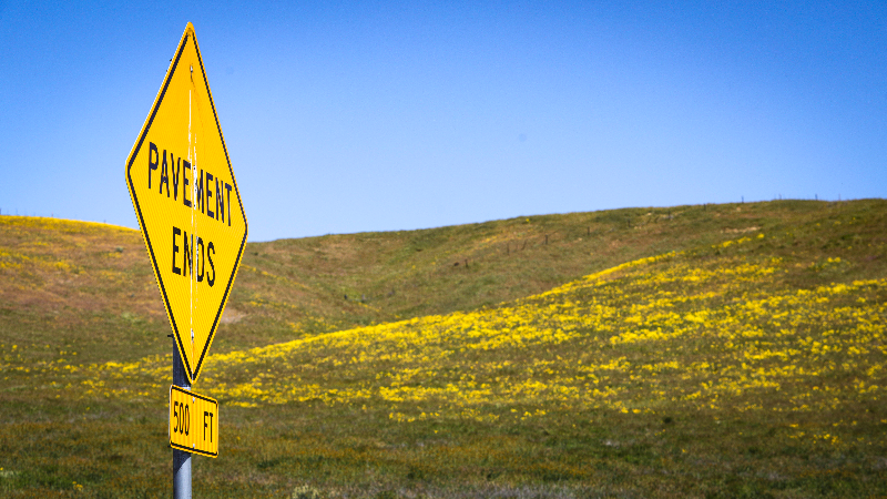 See wildflowers bloom at Carrizo Plain National Monument
