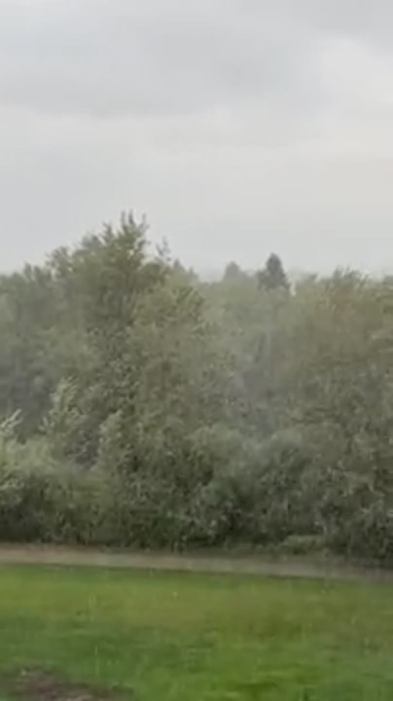 Rain 082625
